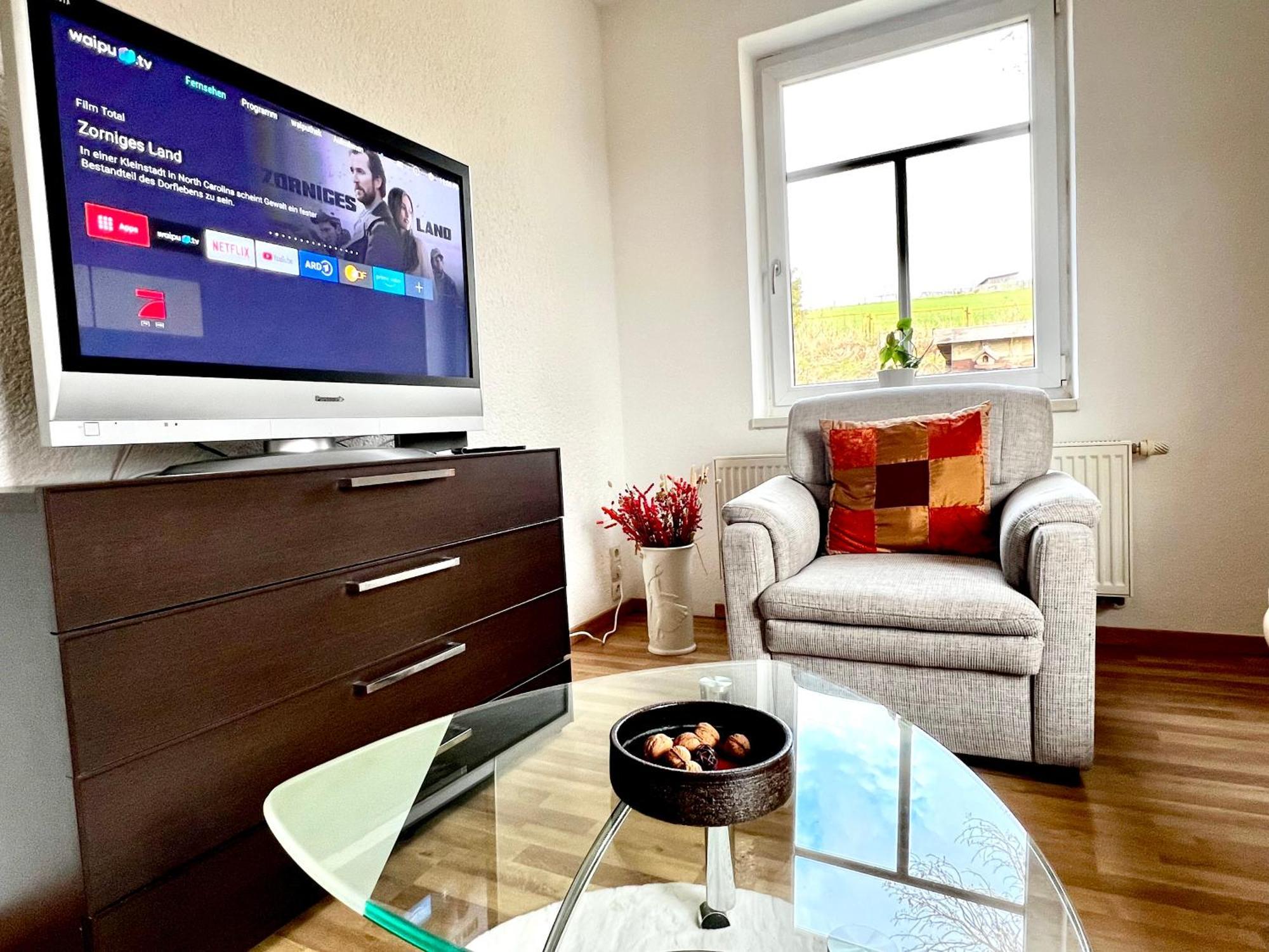 Mylau Goeltzschtal Apartment מראה חיצוני תמונה
