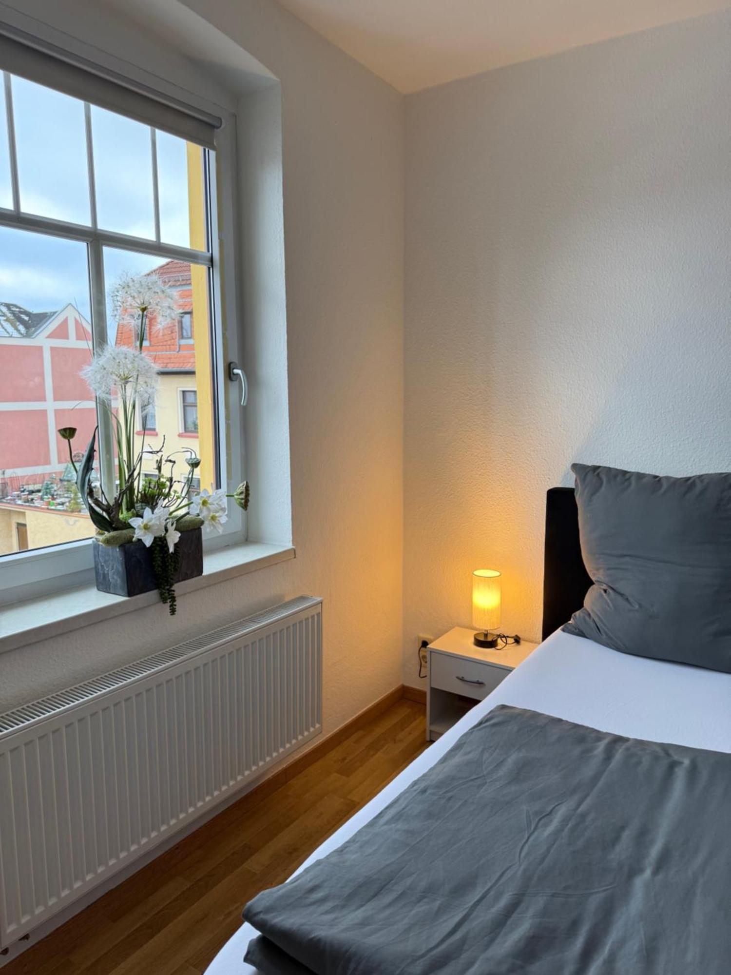 Mylau Goeltzschtal Apartment מראה חיצוני תמונה